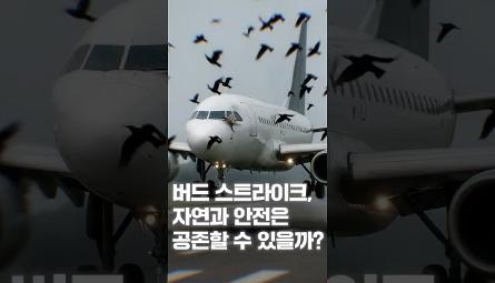 [NRC NOW] 제 14편 _ 국내·외 정책연구동향 VOL.6 | ✈조류충돌 급증! 자연과 항공안전, 공존할 수 있을까? 관련 이미지