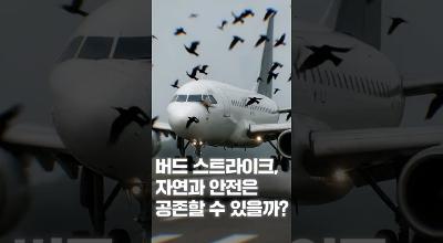 [NRC NOW] 제 14편 _ 국내·외 정책연구동향 VOL.6 | ✈조류충돌 급증! 자연과 항공안전, 공존할 수 있을까? 관련 이미지