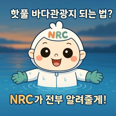 [NRC NOW] 제 24편 _ 국내·외 정책연구동향 VOL.8 |  "외국인: 서울만 볼게요" - K-컬쳐 전성기에도 해양관광이 아쉬운 이유 대표이미지