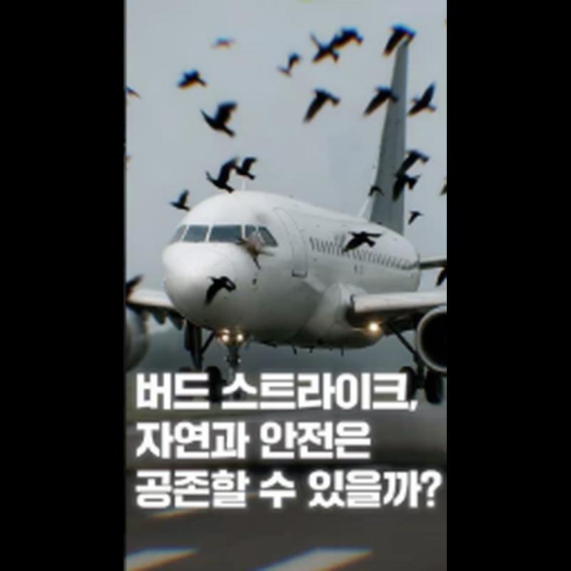 [NRC NOW] 제 14편 _ 국내·외 정책연구동향 VOL.6 | ✈조류충돌 급증! 자연과 항공안전, 공존할 수 있을까?