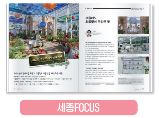 세종FOCUS